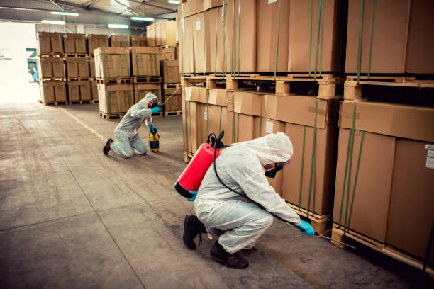 Best Local Pest Control Services  in Laie, HI