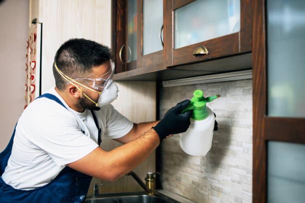Best Best Pest Control Companies  in Laie, HI