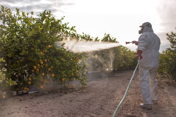 Best Pest Removal Services  in Laie, HI